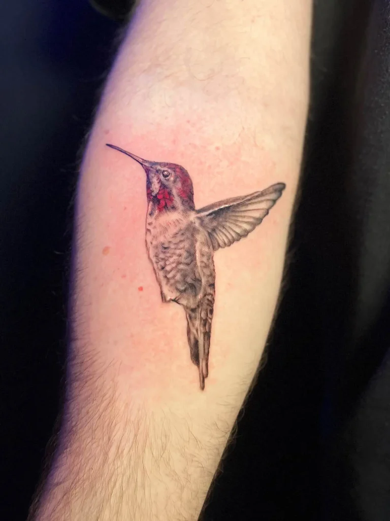 HummingbirdArm